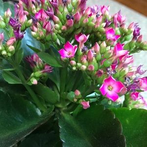 Meet your Posher, Min